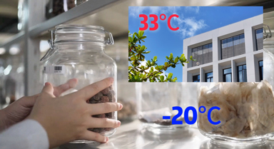 未来，海南这里都是-20℃？